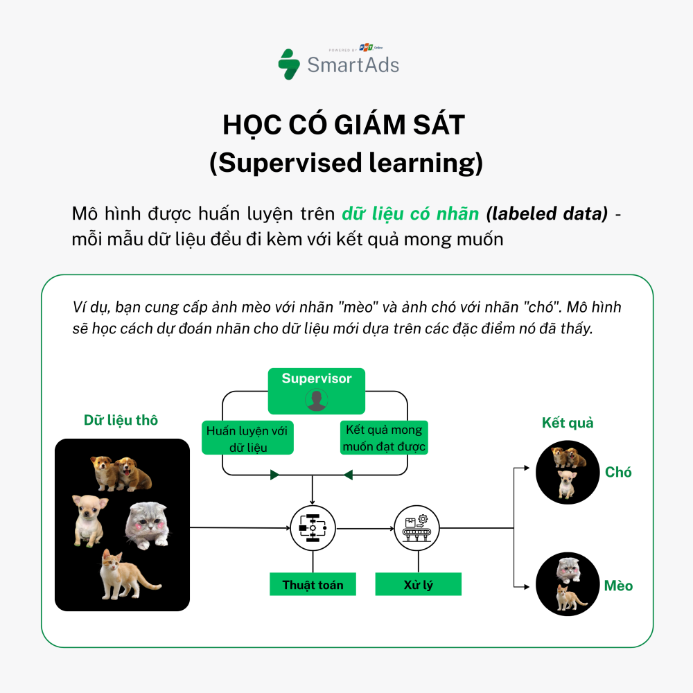 Học có giám sát (Supervised learning)
